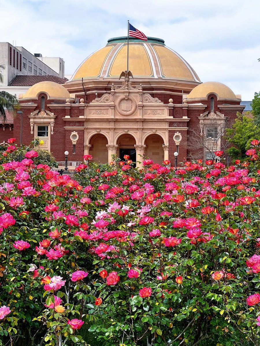 grumpy_andy07's tweet image. Thousands of roses are in bloom, and LA has its own Monet Garden. Spring gave me the best gift