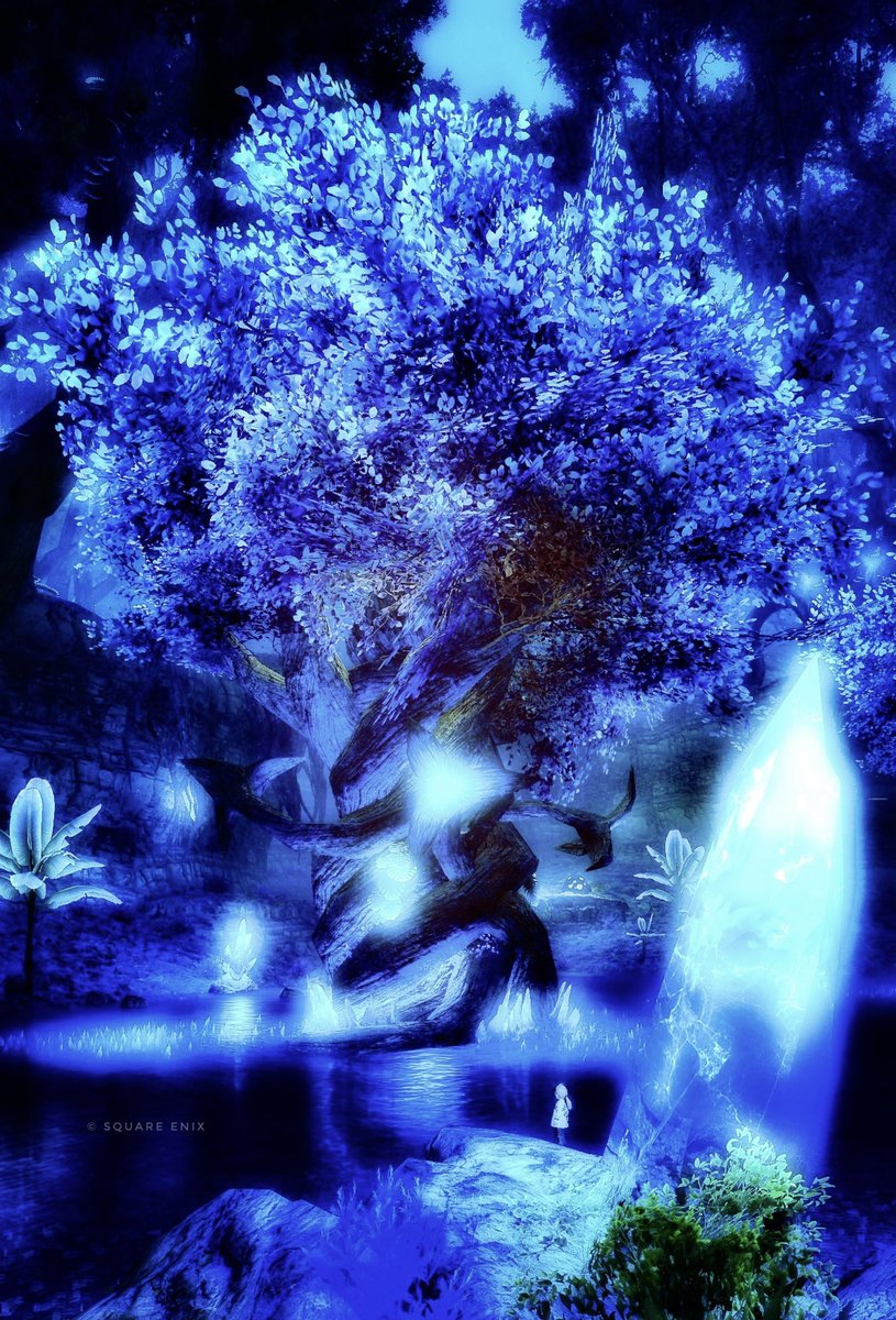 #FF14風景  #FF14風景ひかりとともしび