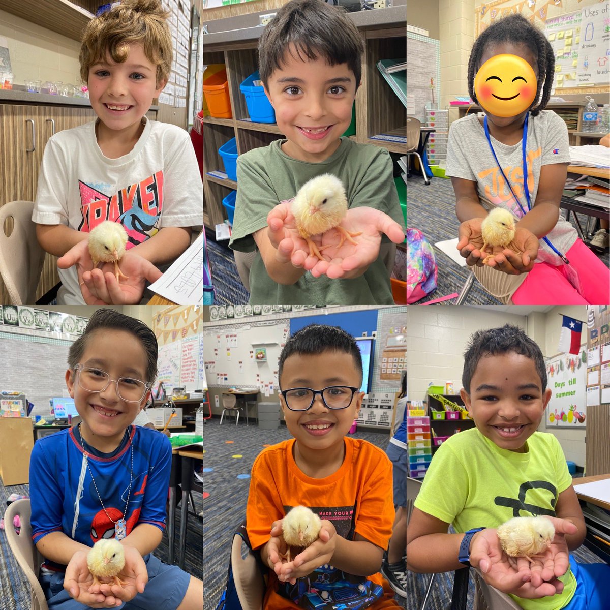 Nicole Goco tweet media