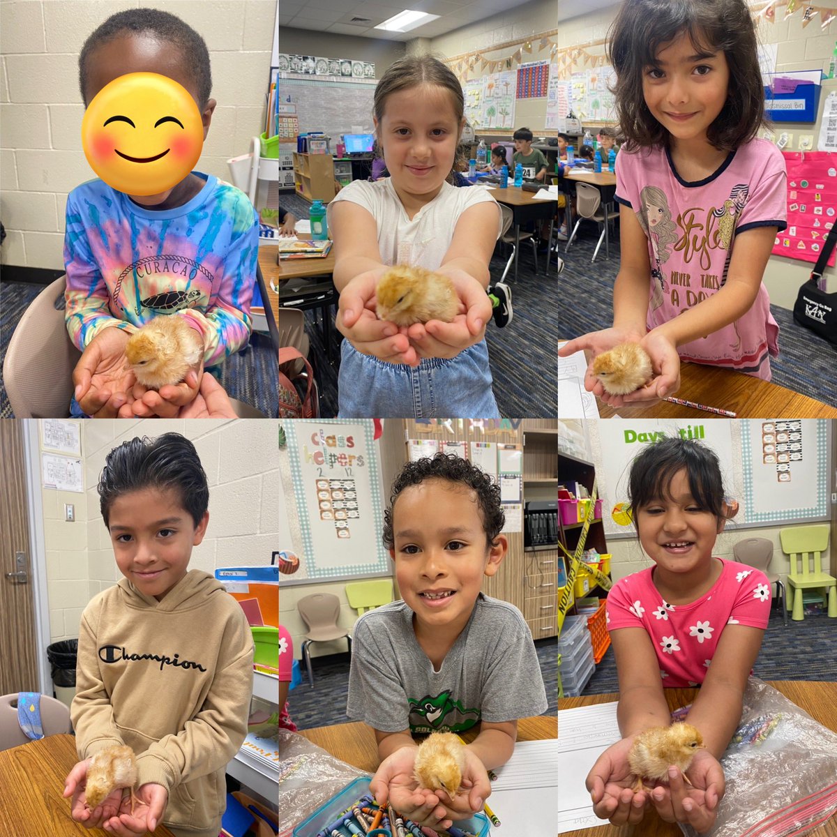 Nicole Goco (@msgoco_ge) on Twitter photo We had so much fun with this chick unit! Also, when a class gets TEDed, I get to share this moment with my former kindergarten students! 💕 <a href="/Golbowtweets/">Golbowtweets</a> We had so much fun with this chick unit! Also, when a class gets TEDed, I get to share this moment with my former kindergarten students! 💕 <a href="/Golbowtweets/">Golbowtweets</a>