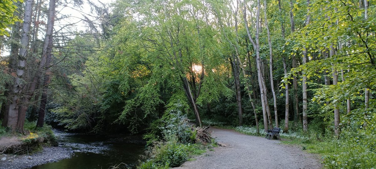 Declan McAllister (@declanmcall) on Twitter photo Supporting our #SocialWork and #SocialCare practitioners on their #MileinMay promoting wellbeing and team spirit. The lovely Clare Glen. <a href="/AineMorrison/">Aine Morrison</a> <a href="/Emckay19/">Emckay</a> <a href="/StephenMcL20/">Stephen Mc Laughlin</a> <a href="/BHorganSHSCT/">Brenda Horgan</a> <a href="/LeeWilson_/">Lee Wilson</a> <a href="/ElainePollock12/">Elaine</a> <a href="/NI_SCC/">Northern Ireland Social Care Council</a> #WorkforceWellbeing 🚶♂️ 🏃 Supporting our #SocialWork and #SocialCare practitioners on their #MileinMay promoting wellbeing and team spirit. The lovely Clare Glen. <a href="/AineMorrison/">Aine Morrison</a> <a href="/Emckay19/">Emckay</a> <a href="/StephenMcL20/">Stephen Mc Laughlin</a> <a href="/BHorganSHSCT/">Brenda Horgan</a> <a href="/LeeWilson_/">Lee Wilson</a> <a href="/ElainePollock12/">Elaine</a> <a href="/NI_SCC/">Northern Ireland Social Care Council</a> #WorkforceWellbeing 🚶♂️ 🏃