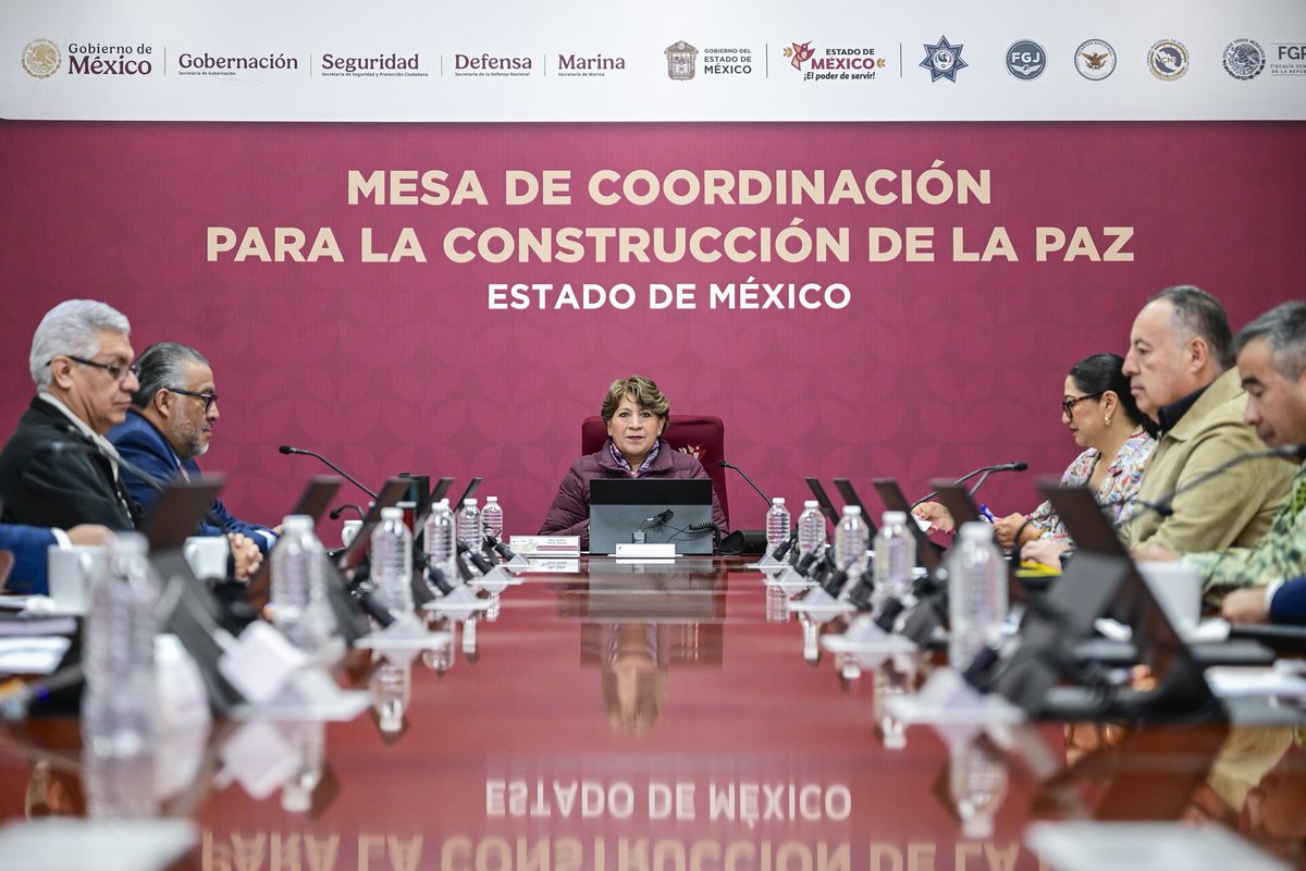 Delfina Gómez A. tweet media