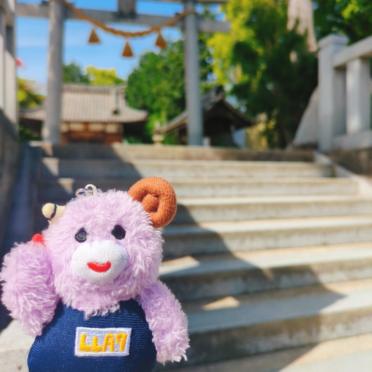 piramaru15's tweet image. 出勤前の贅沢🍫💓
僅差でブラックサンダー派🥳

新人ちゃんが入り、いただきますごちそうさまを言うことを教えた今日w
未来への種まき🌱.*
今もいろいろ教えてくれる人には改めて感謝🌷.*
気疲れで帰宅後は寝落ち( *˘꒳˘*)
愛した日聴いてaikoから元気もらう.•♬

⛩️みんなチケット当たりますように🍎