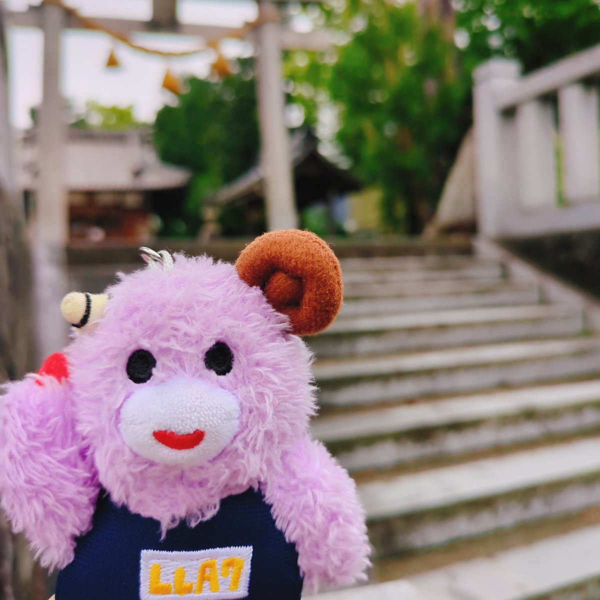 piramaru15's tweet image. 出勤前の贅沢🍫💓
僅差でブラックサンダー派🥳

新人ちゃんが入り、いただきますごちそうさまを言うことを教えた今日w
未来への種まき🌱.*
今もいろいろ教えてくれる人には改めて感謝🌷.*
気疲れで帰宅後は寝落ち( *˘꒳˘*)
愛した日聴いてaikoから元気もらう.•♬

⛩️みんなチケット当たりますように🍎