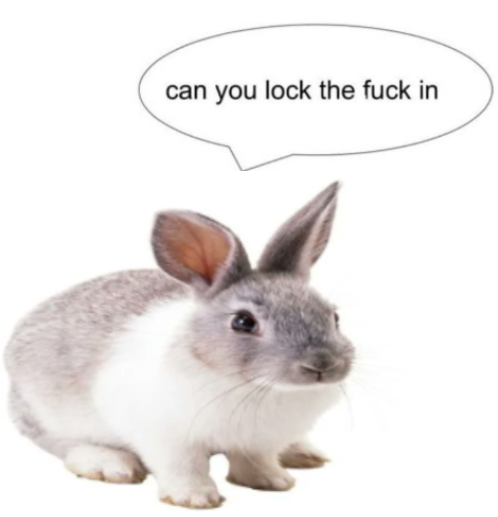 emma 🐇 (@forestdruiddyke) on Twitter photo 