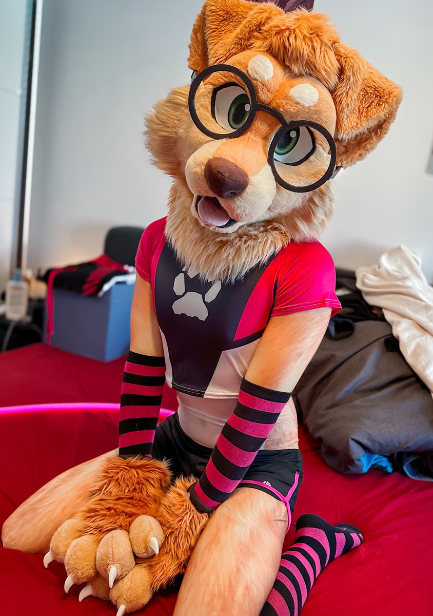 MaxFluffys's tweet image. Got this cute techwear crop from @AwruffGear 🥰

What do you think 👉👈