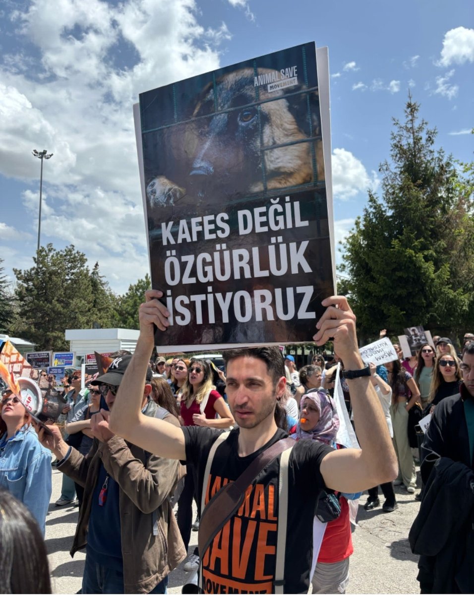 Yaşam İçin Yasa #YaşamİçinYasa tweet media