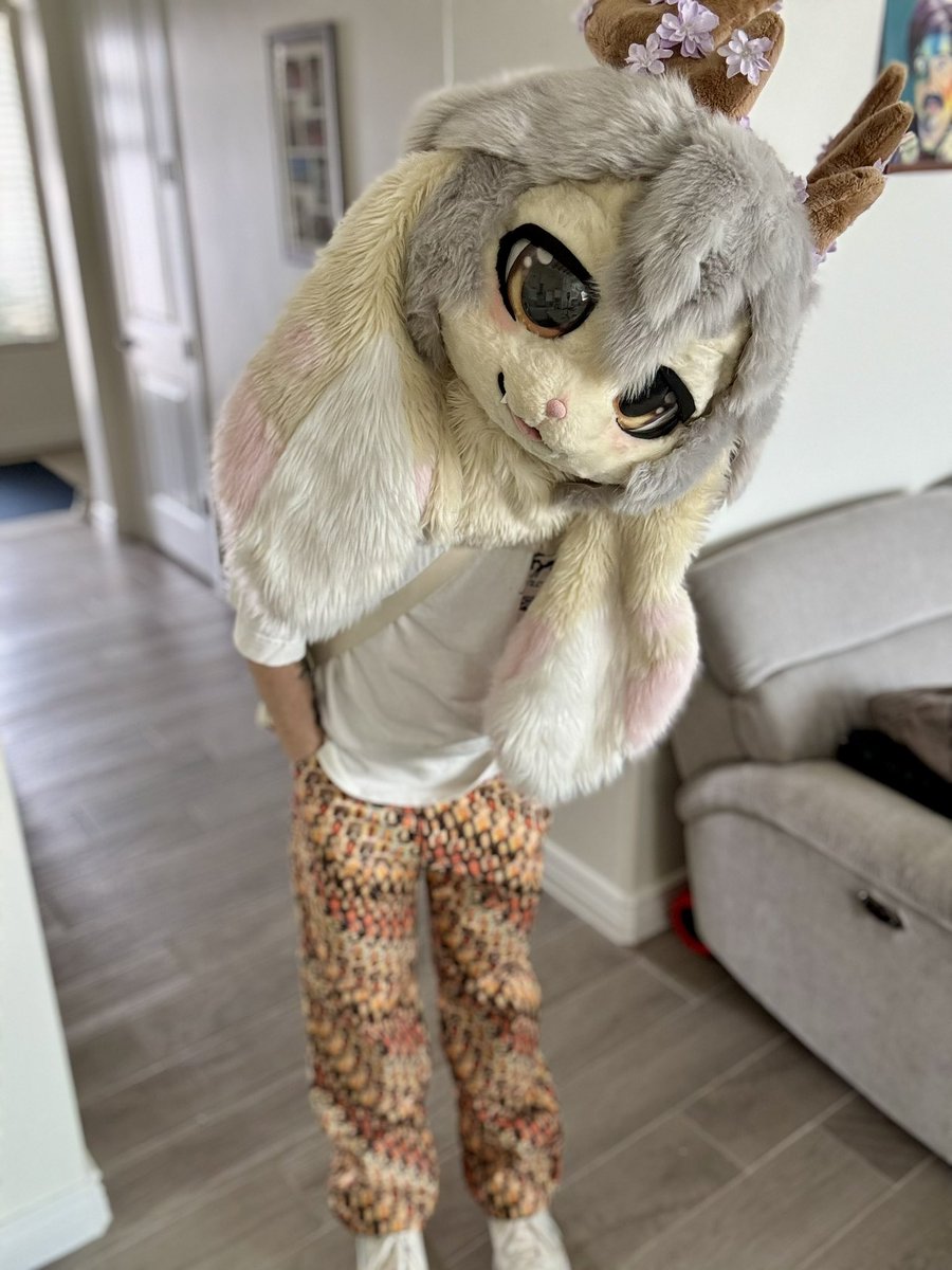 helloooo?

#FursuitsFriday