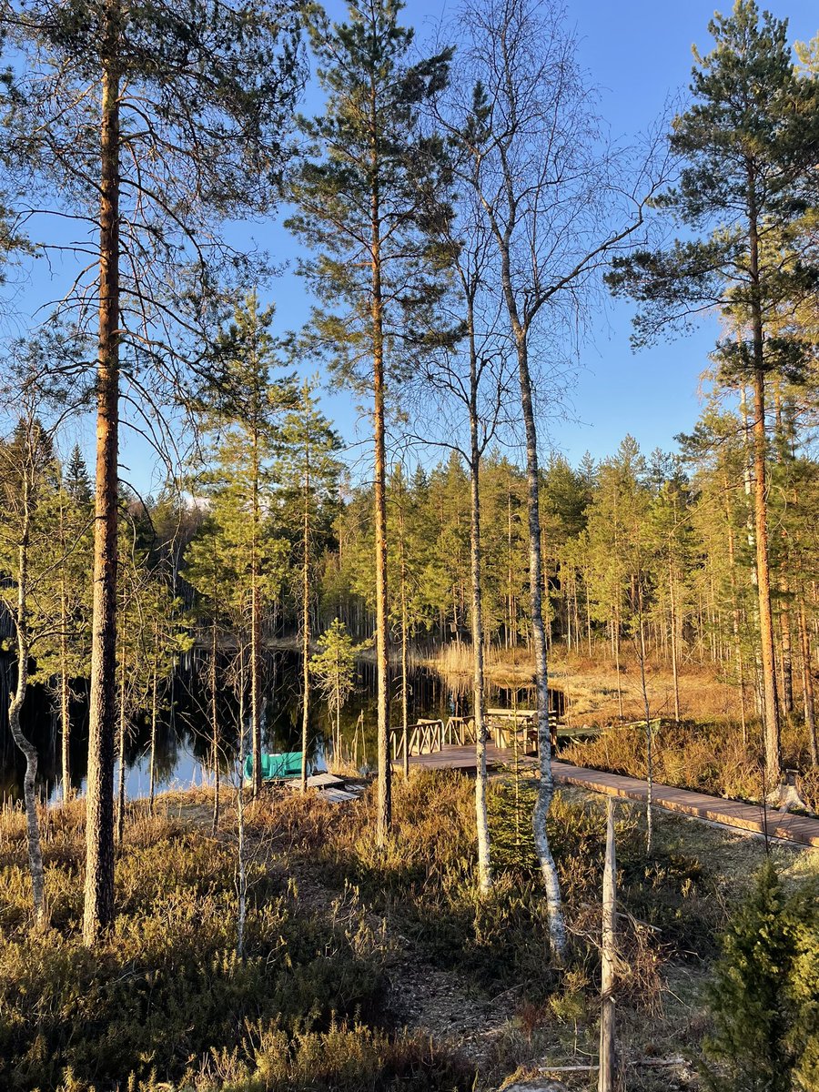 connor brady (@connorbrady_53) on Twitter photo 