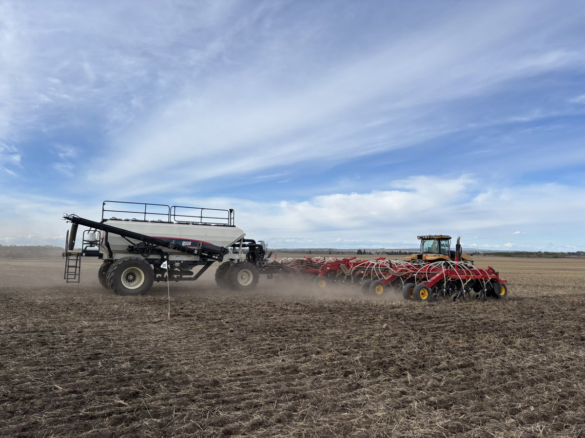 PioneerSeedsCA's tweet photo. P1540L going down in Sexsmith, AB. 

Painting Alberta #Pioneer100Series green! 💚💚

#MeaningfullyDifferent #EvolutionofCanola #SuperiorYield https://t.co/utWma9NjyE