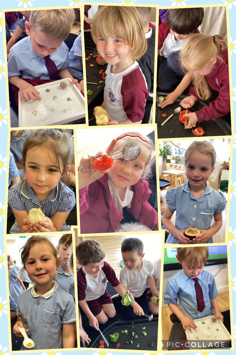 EYFS with Miss S tweet media