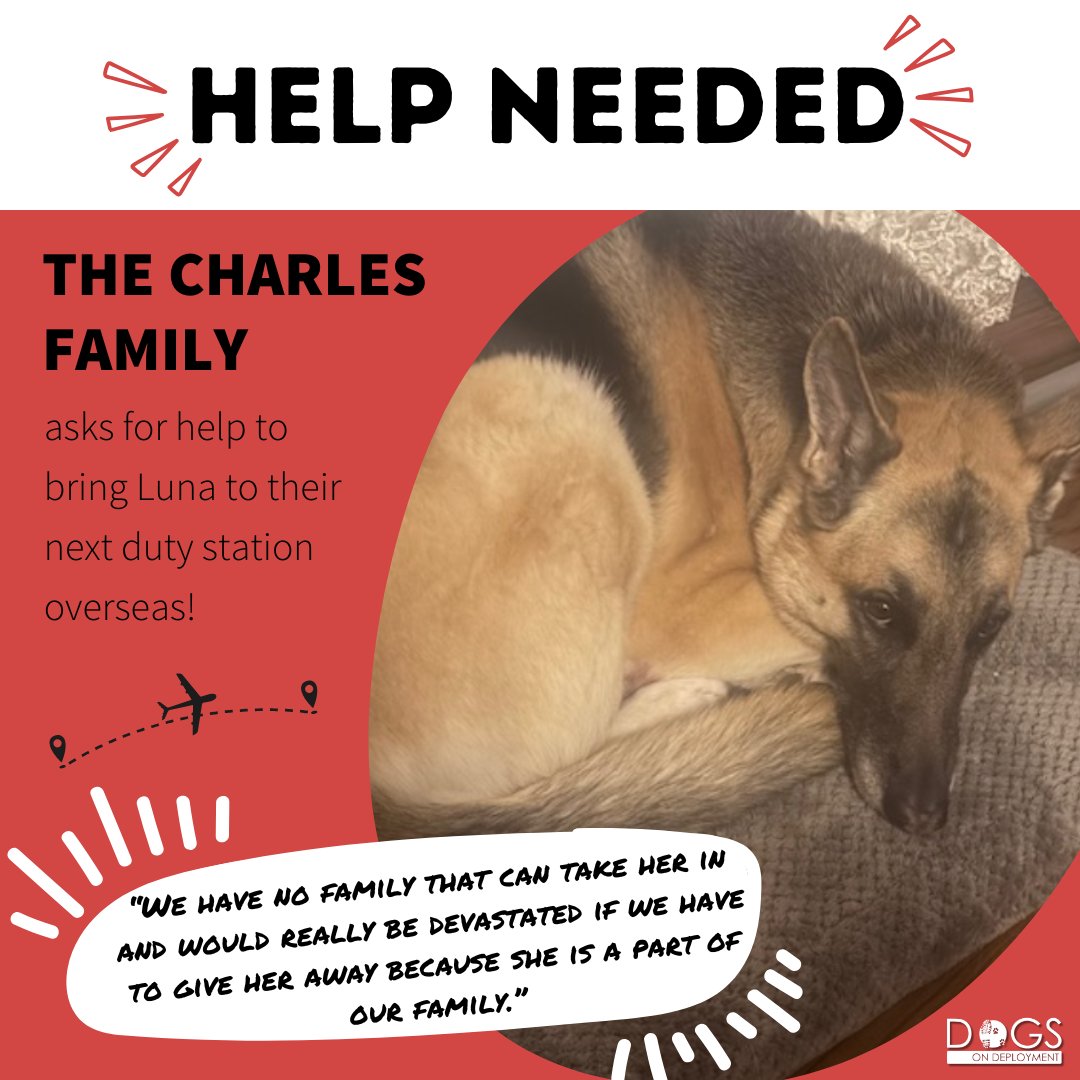 This May, for Military Appreciation Month, we’re aiming to fund every eligible military family currently waiting for pet-related assistance. Luna’s just one of many pets counting on us—and on you. ❤️

🔗: ow.ly/Fv9y50VNGxj

#DonateNow#DogsonDeployment #MilitaryPCS