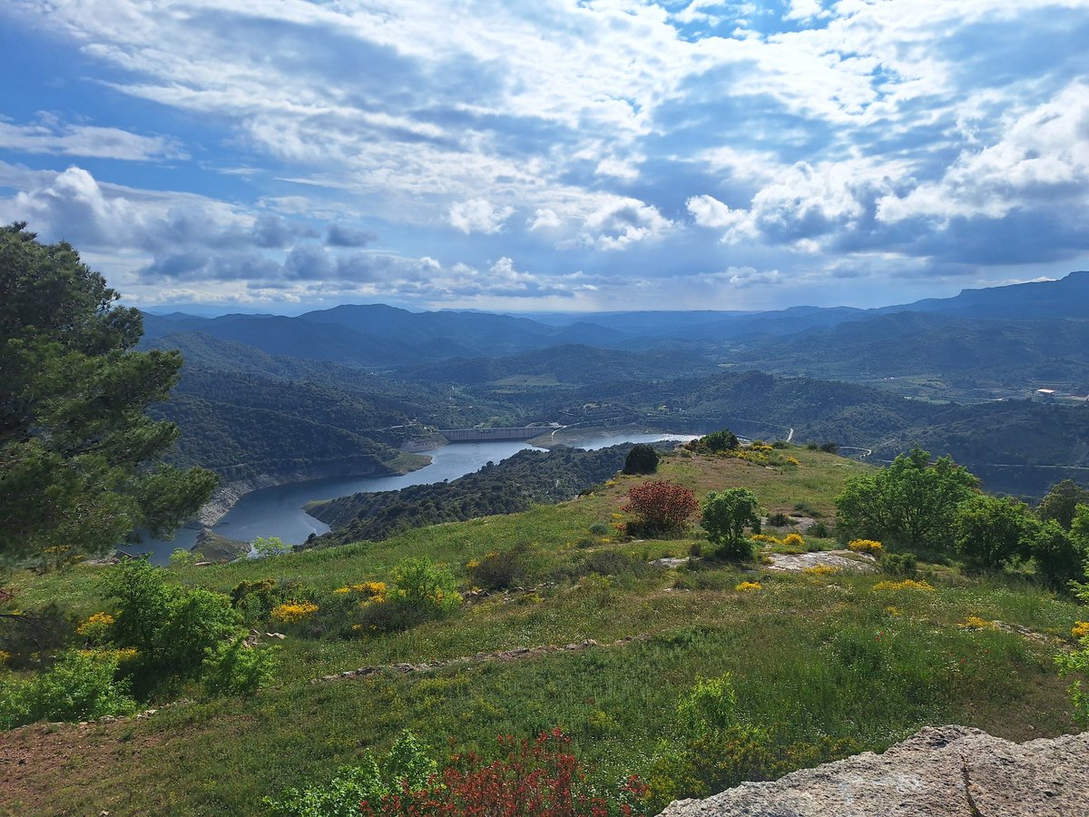 FERRAN TORTOSA FERRER tweet media