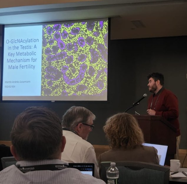 Martín Estermann (@estermannmartin) on Twitter photo So honoured to receive a Future of Science Fund scholarship and thrilled to share my latest research at #KSMetabDev25. This has been one of the most enlighting meetings I attended. Thank you <a href="/KeystoneSymp/">Keystone Symposia</a> ! So honoured to receive a Future of Science Fund scholarship and thrilled to share my latest research at #KSMetabDev25. This has been one of the most enlighting meetings I attended. Thank you <a href="/KeystoneSymp/">Keystone Symposia</a> !