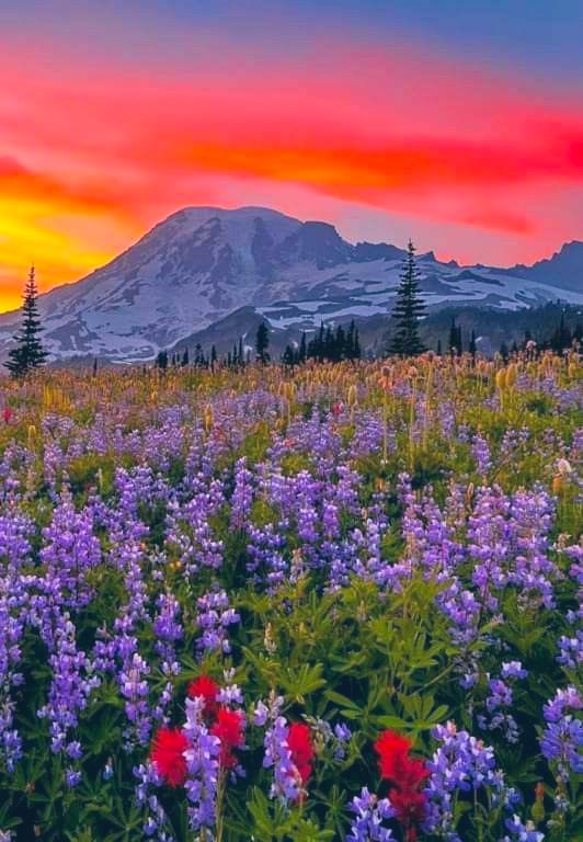 “The evening is a reminder to slow down and savor life's sweetest moments ..”

Good Evening .. Good Night ..🌙