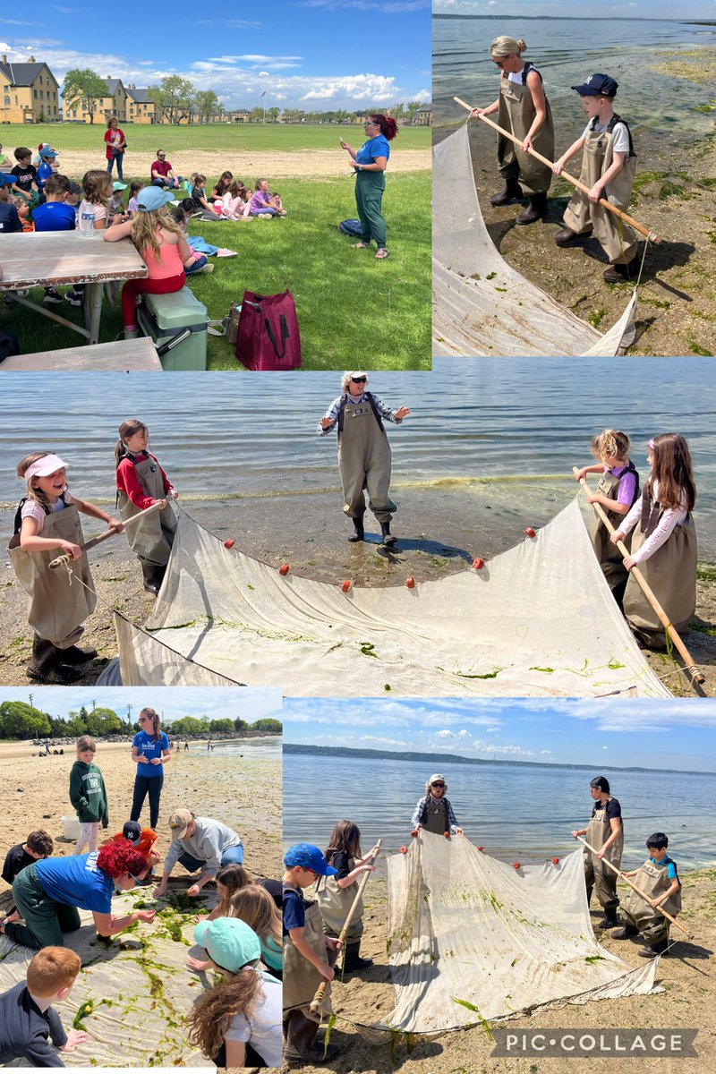 Miss Corrigan tweet media