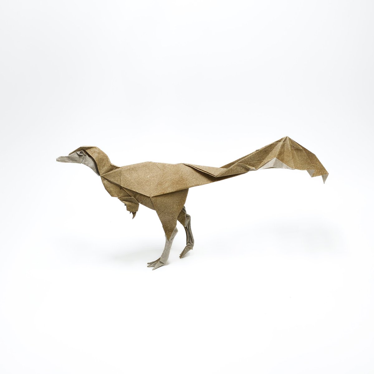 Mononykus olecranus

1/6 scale

Designed &amp; folded by me
30x30cm hanji combination

#origami #折り紙 #dinosaur #paleoart #jurassicworld #prehistoricplanet