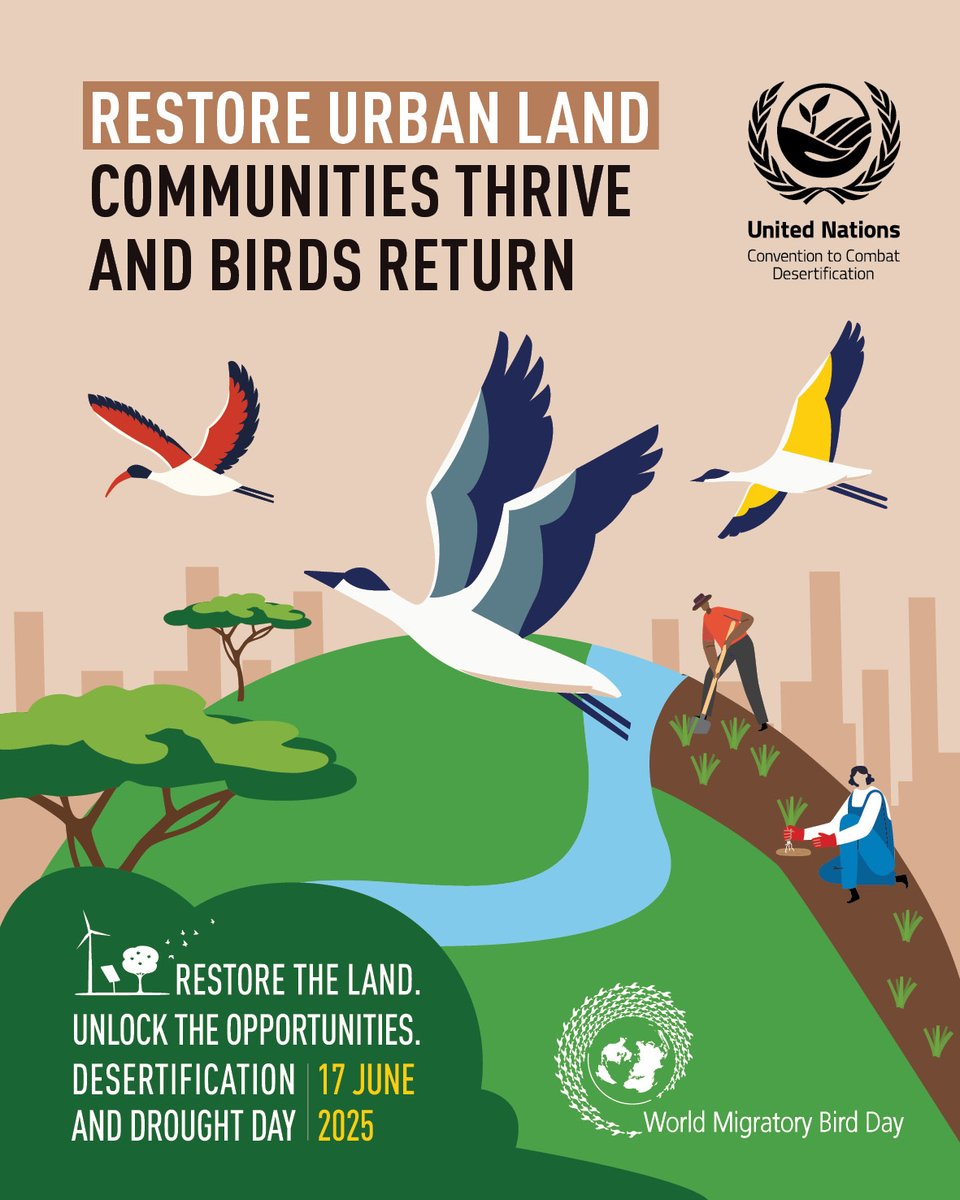 UN Land and Drought (@unccd) on Twitter photo 🐦 When cities grow green, birds can find a place to land.
When birds stop to rest, they bring life with them—scattering seeds, controlling pests, pollinating flowers.
Restoring land—urban or wild—makes bird journeys possible. And birds help land thrive 💚
#UNited4Land <a href="/WMBD/">World Migratory Bird Day</a> 🐦 When cities grow green, birds can find a place to land.
When birds stop to rest, they bring life with them—scattering seeds, controlling pests, pollinating flowers.
Restoring land—urban or wild—makes bird journeys possible. And birds help land thrive 💚
#UNited4Land <a href="/WMBD/">World Migratory Bird Day</a>