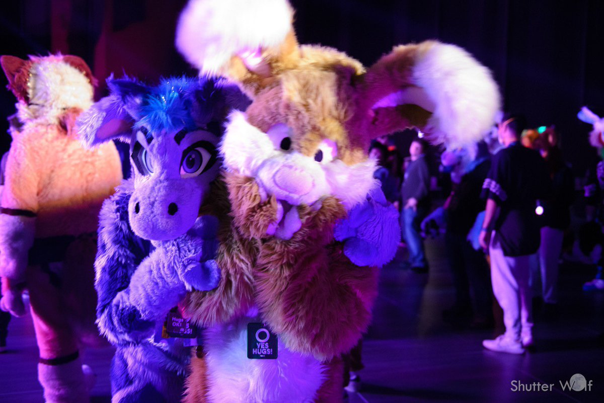 Bunny snugs are best snugs! With Buckyroo. #FursuitFriday. 
📷: <a href="/ShutterWolf/">Shutter Wolf</a>