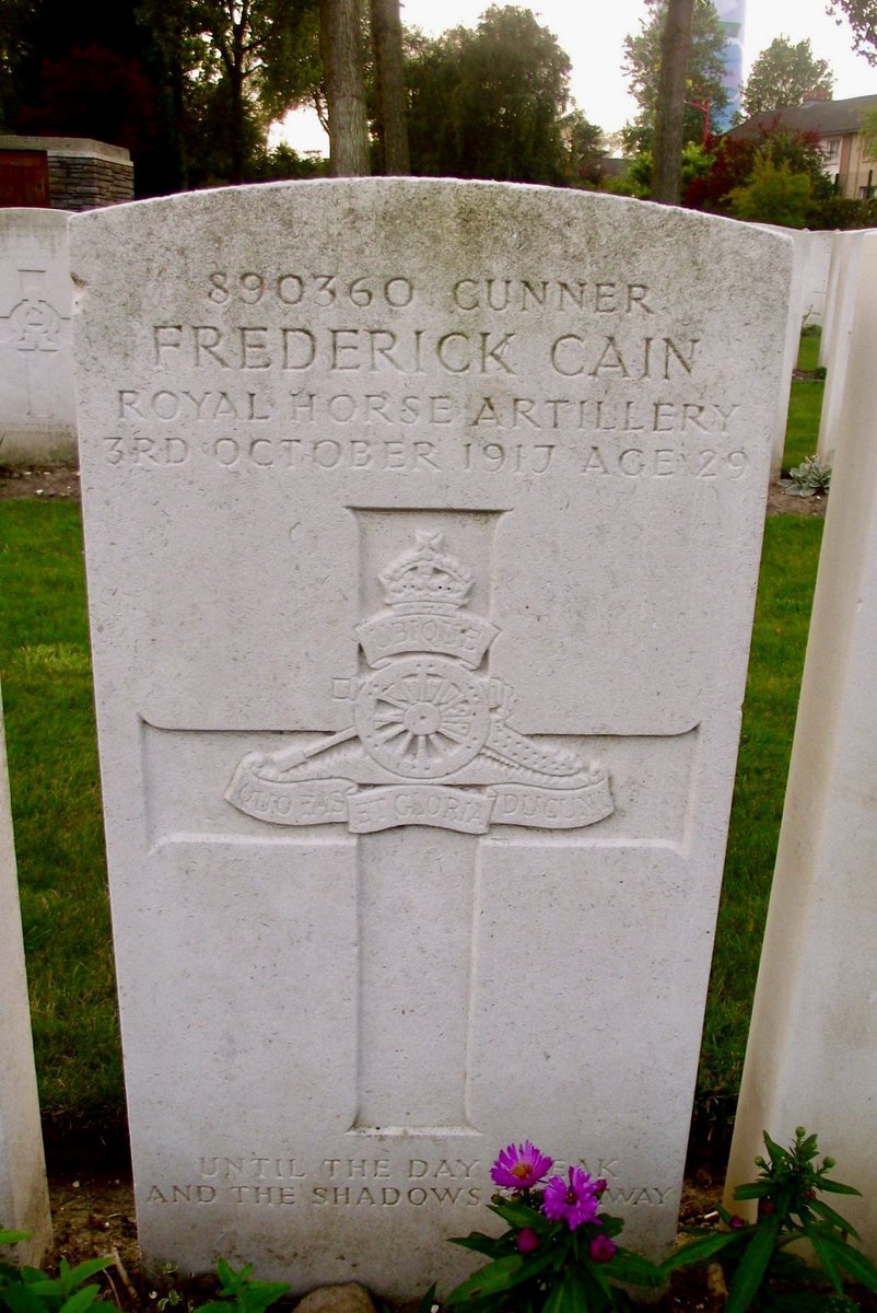 David Cain tweet media