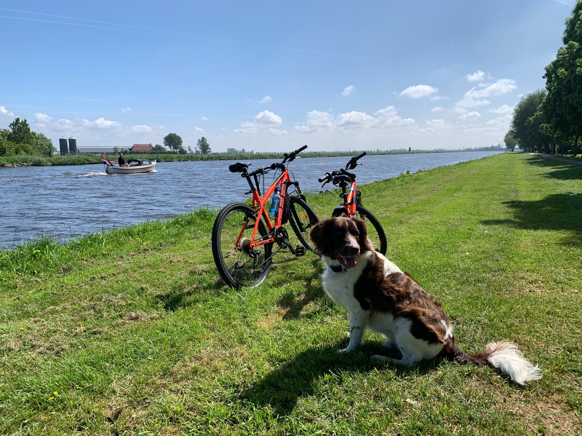 Ook er even heerlijk tussenuit met dit prachtige weer?
We hebben een prachtig fietsarrangement met de mooiste #de8vangroupontjesroute . Mag en kan uiteraard ook met eigen fietsen.
dethuiskamer.nl/fiets-arrangem…