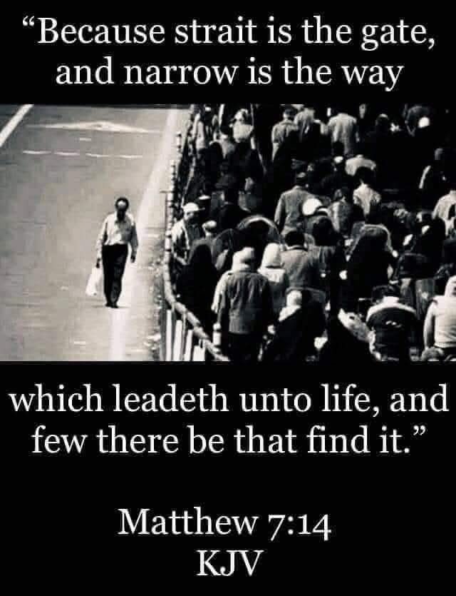 Sir_Charlsss Unchained! (@sir_charlsss) on Twitter photo Because straight is the gate …
✝️2179✝️ <a href="/mombelieves/">MomBelieves</a> <a href="/Stairfinder/">Joseph Chase</a>
<a href="/cubanita356/">LULU 🇺🇸🍊</a>
<a href="/5mm7gdsj9y/">John✝️🇺🇸</a>
<a href="/CatahoulaT/">Catahoula Leopard Dog</a>
<a href="/southernmsgurl/">_brandy_</a>
<a href="/RodneyHoo/">Rodney Johnson</a>
<a href="/EmSS_4/">EmSS</a>
<a href="/JrMintNite/">MintPatty</a>
<a href="/drillmastermom2/">Robin Smith</a>
<a href="/TruthbetoldUC/">UC?</a>
✝️🙏🏻✝️🙏🏻✝️🙏🏻✝️
<a href="/BillH1059/">Billtopper</a>
<a href="/notmrbill069/">💜 mr bill 💜 ( get my notifications )</a>
<a href="/karl_landgren/">Karl Landgren</a>
<a href="/emma6USA/">Susan</a>
<a href="/josiedandr/">joanne d🌻</a>
<a href="/PSwal807/">Penny Calls a Lid 🇺🇸🇮🇹</a> Because straight is the gate …
✝️2179✝️ <a href="/mombelieves/">MomBelieves</a> <a href="/Stairfinder/">Joseph Chase</a>
<a href="/cubanita356/">LULU 🇺🇸🍊</a>
<a href="/5mm7gdsj9y/">John✝️🇺🇸</a>
<a href="/CatahoulaT/">Catahoula Leopard Dog</a>
<a href="/southernmsgurl/">_brandy_</a>
<a href="/RodneyHoo/">Rodney Johnson</a>
<a href="/EmSS_4/">EmSS</a>
<a href="/JrMintNite/">MintPatty</a>
<a href="/drillmastermom2/">Robin Smith</a>
<a href="/TruthbetoldUC/">UC?</a>
✝️🙏🏻✝️🙏🏻✝️🙏🏻✝️
<a href="/BillH1059/">Billtopper</a>
<a href="/notmrbill069/">💜 mr bill 💜 ( get my notifications )</a>
<a href="/karl_landgren/">Karl Landgren</a>
<a href="/emma6USA/">Susan</a>
<a href="/josiedandr/">joanne d🌻</a>
<a href="/PSwal807/">Penny Calls a Lid 🇺🇸🇮🇹</a>
