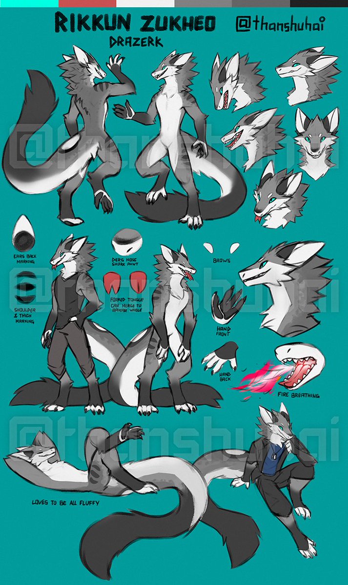 A redraw of my sona, Rikkun.
