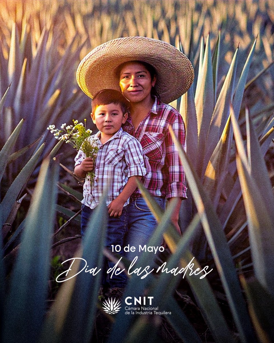 Gracias por ser inspiración, guía y fortaleza.
Desde la Cámara Nacional de la Industria Tequilera, celebramos a todas las madres que con su dedicación, pasión y amor dejan huella en nuestras vidas y en nuestra industria.
¡Feliz Día de las Madres!
#DíaDeLasMadres #CNIT
