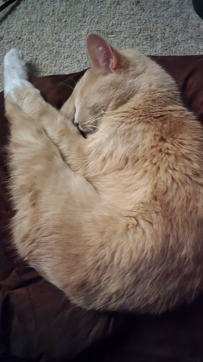 Jensenator tweet media