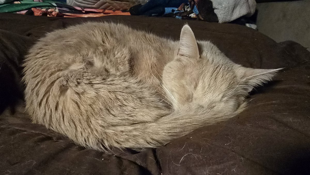 Jensenator tweet media