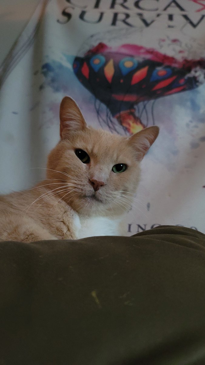 Jensenator tweet media