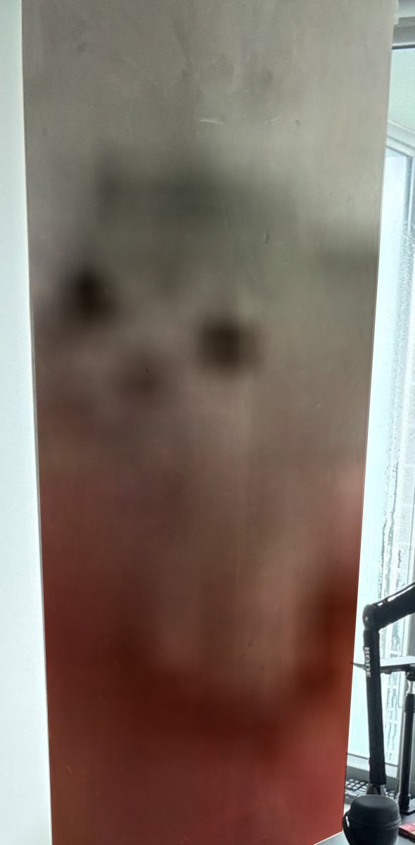 Low Quality Cat tweet media