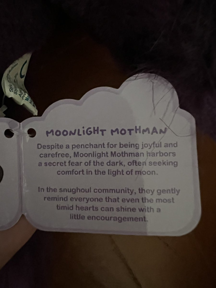 Toyhuntersholl2's tweet photo. toyhuntershollow@snughouls Moonlight Mothman have arrived! It's beautiful....and big as a little kid...

#mothman #snughouls #tinyteeth #moonlight #moonlightmothman #scaredofthedark #cryptid #pointpleasantwv #wings https://t.co/xPEQ1y6H0L