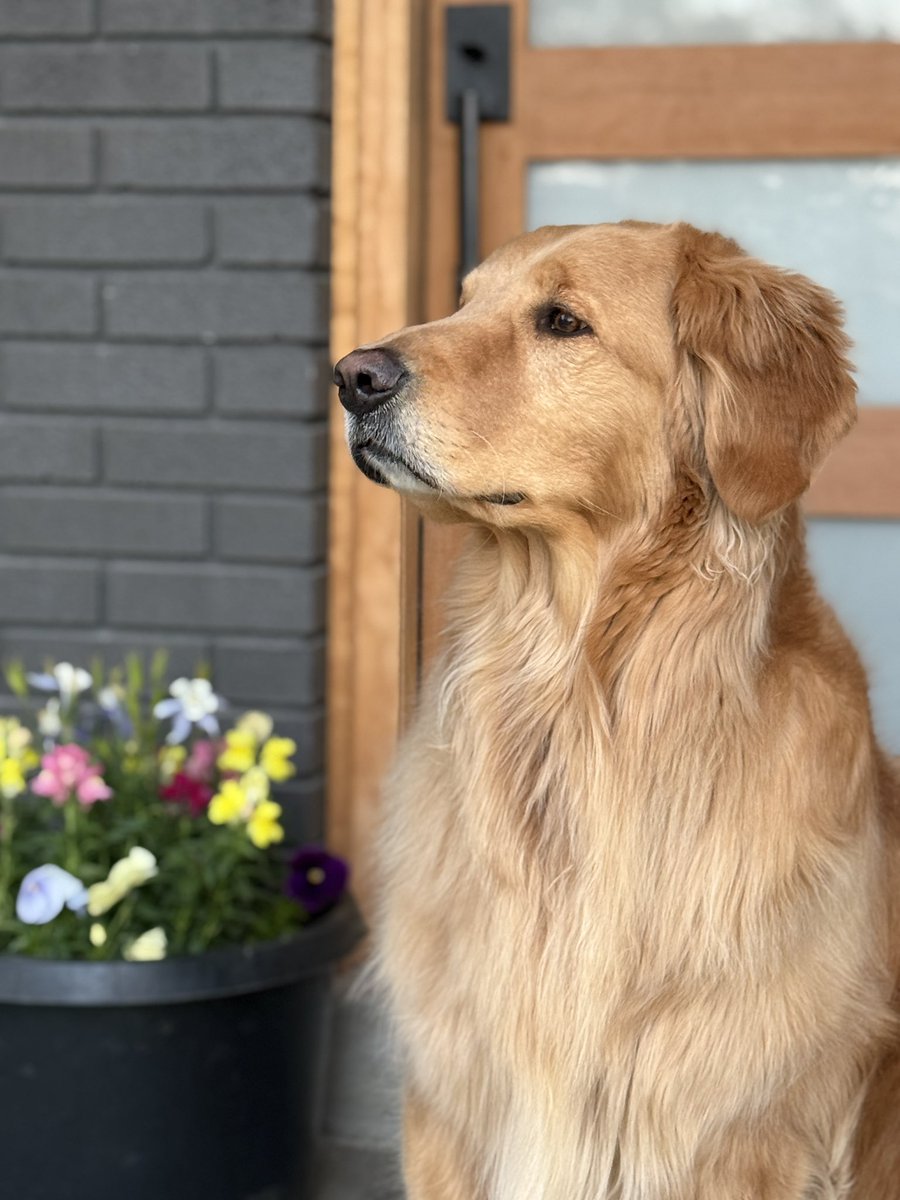 Tanner Webster tweet media