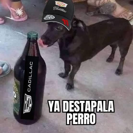 Ralph_Potro's tweet photo. @1AntonioPerez Ya destapala Prro!!! https://t.co/UpBAbAGiSy