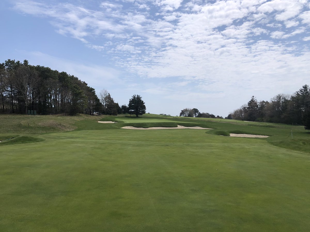 Tom Colombo tweet media