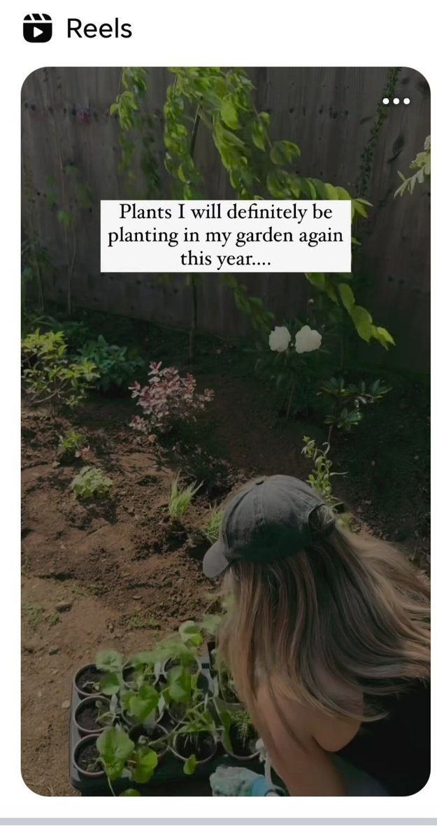 Oh do #naffoff. Every time I Google a plant I am swamped with #gardeningreels from #millenials performing. It's #GrindingKarensgears now! Is it an #influencers thing?
