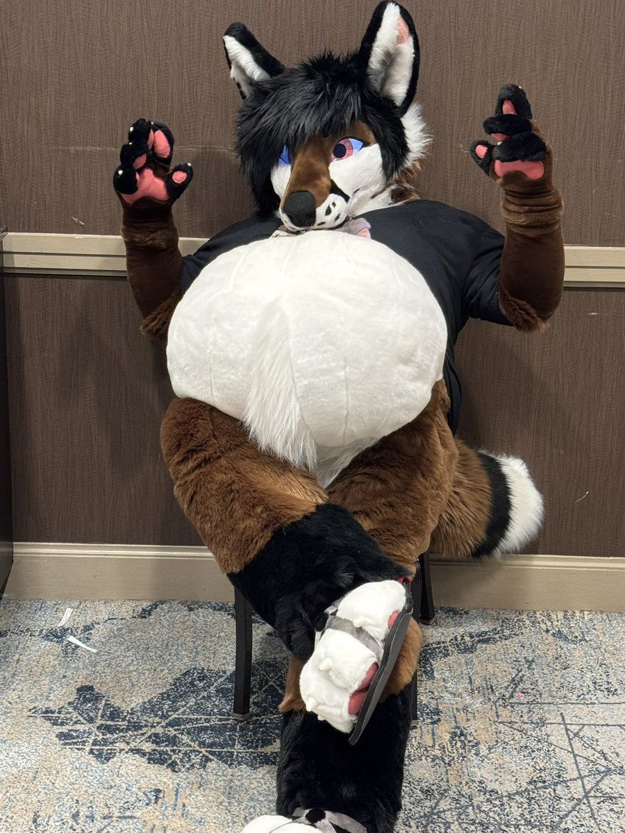 Happy #FursuitsFriday from this big tubby fluff! ^^

Fursuit maker: <a href="/BNCreation/">BNCreation</a>