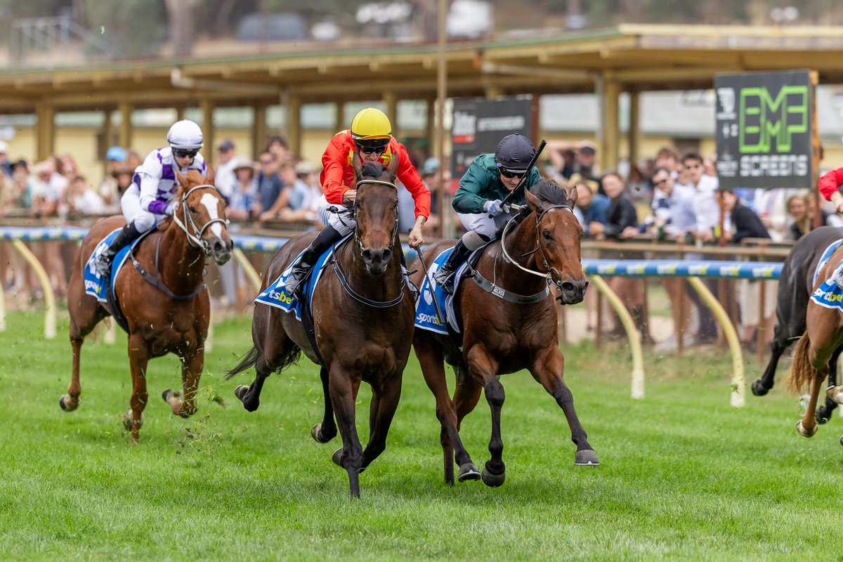 Morphettville | May 10

A big day ahead with Bleak Mid Winter and Dapper Don kicking things off in R2. Episodic has her final run for the stable in R4. Six runners take their place in stakes races, capped by Prairie Flower in the G1. Three represent in the last.

Good luck!