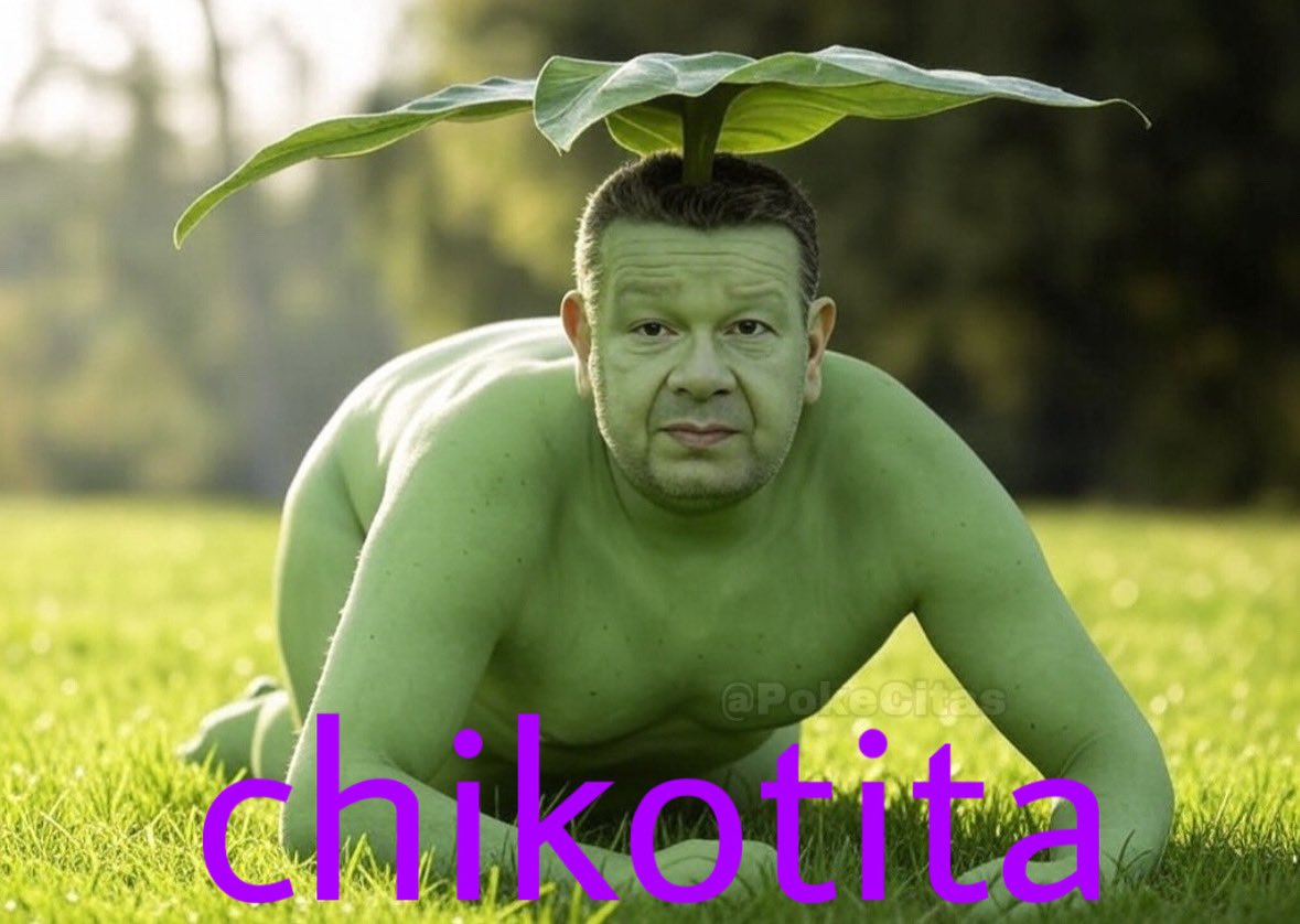 Memes Pokémon tweet media