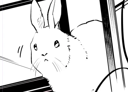 🐰 