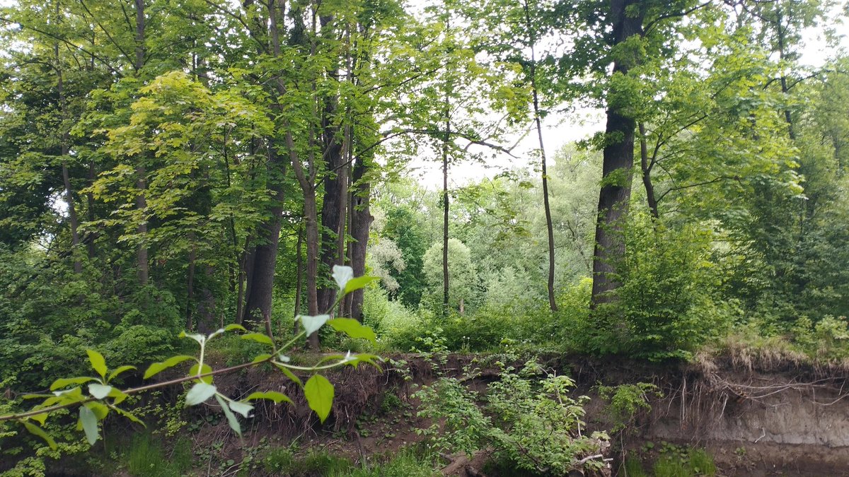 baru 📷🫀🗺️ tweet media