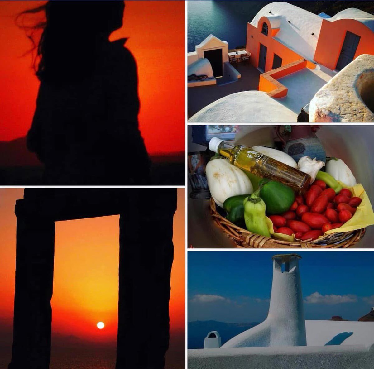 Colette H.Guggenheim tweet media