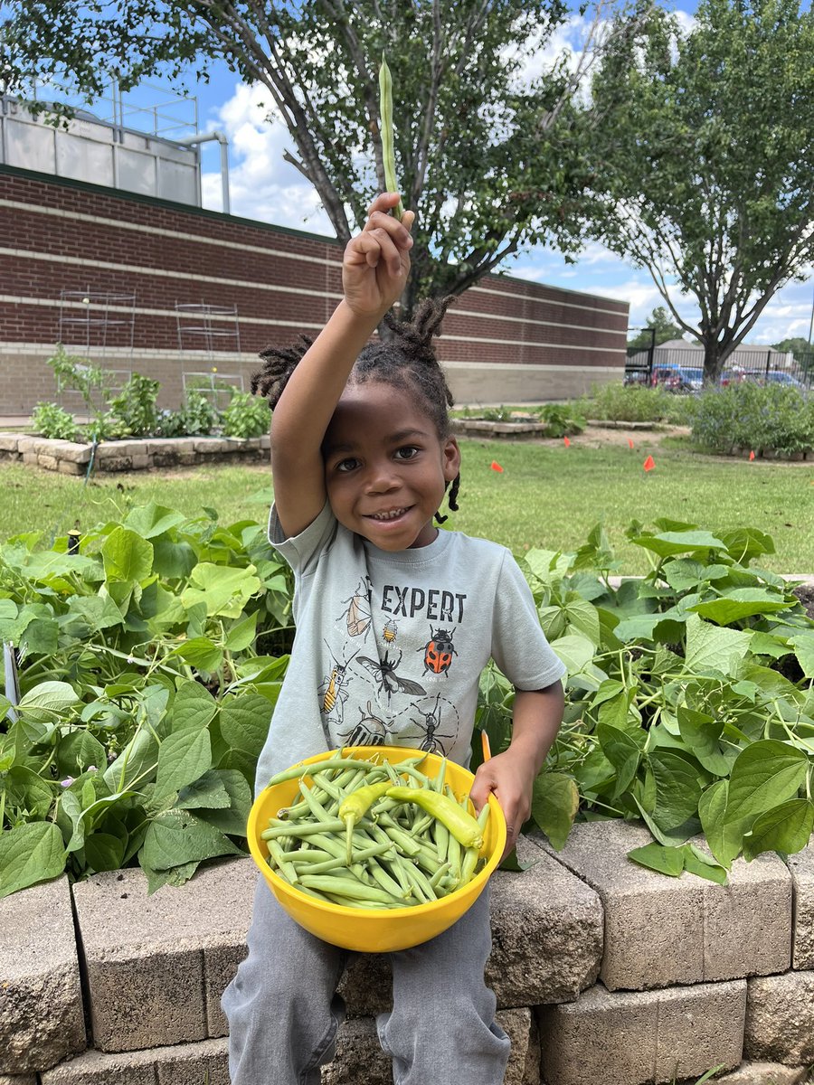 Julie Reifenrath (@reifenrathrtgg) on Twitter photo Kindergartners @danishCFISD harvested beans, created watercolor π¨ technical drawings, and explored their beautiful βοΈ garden today! π¦
<a href="/readygrowgarden/">Ready to Grow Garden</a>
<a href="/PrincipalDalton/">Kelly Dalton</a> Kindergartners @danishCFISD harvested beans, created watercolor π¨ technical drawings, and explored their beautiful βοΈ garden today! π¦
<a href="/readygrowgarden/">Ready to Grow Garden</a>
<a href="/PrincipalDalton/">Kelly Dalton</a>
