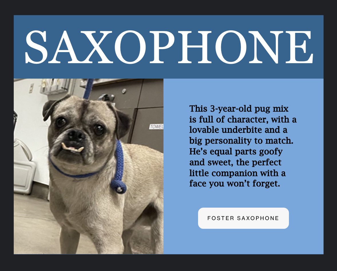 Lauren O’Neil tweet media