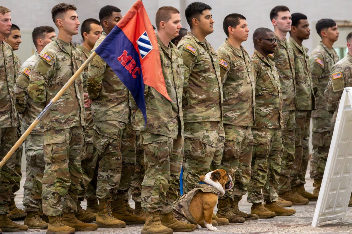 3rd_Infantry's tweet image. Fort Stewart, GA – where legends aren’t born... they’re patched. Rocky, the most decorated bulldog in the 3rd Infantry Division, officially earned his Marne patch