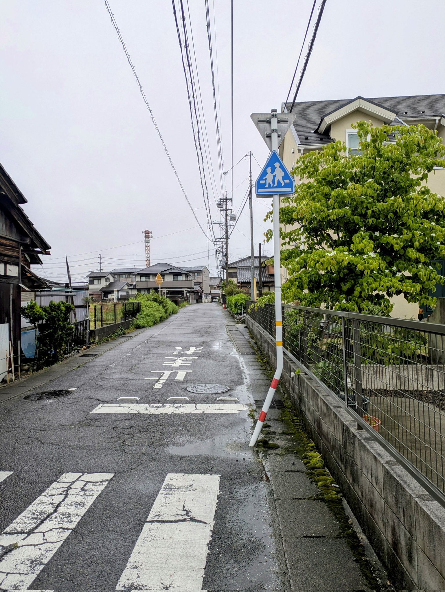 TERAMOTO（テラモト） ニートSTF もえるゴミ用 オフホワイト 67L