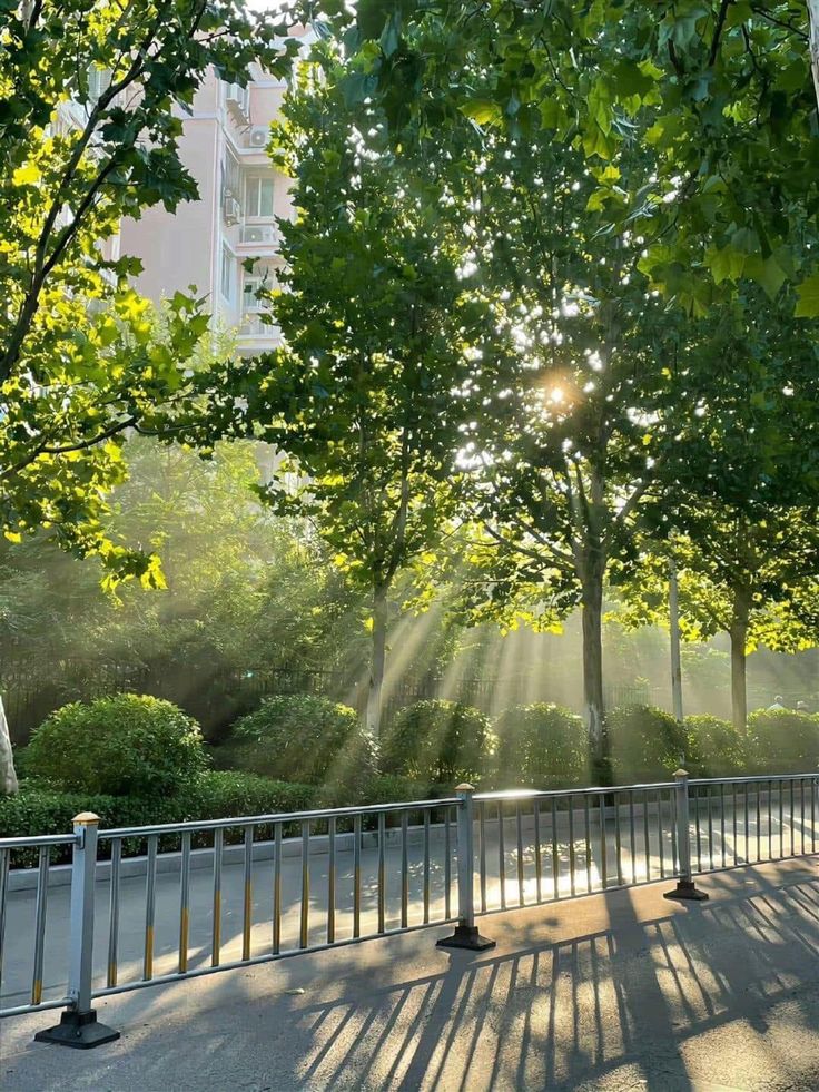 ᅠ ᅠ (@greendreaams) on Twitter photo 