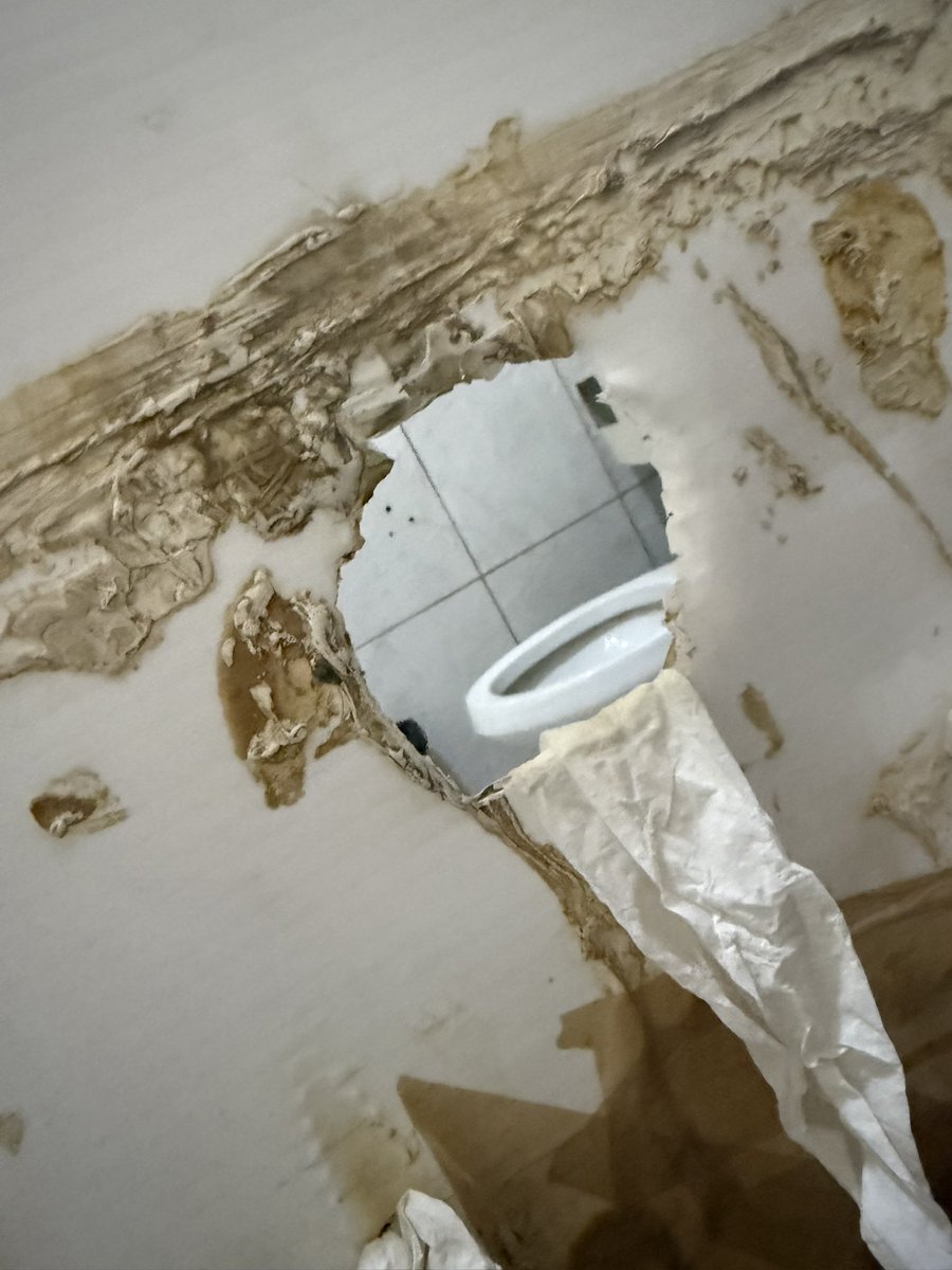 Que ricas deslechadas se arman en estos baños
#cruisingbaños #cruisinggdl