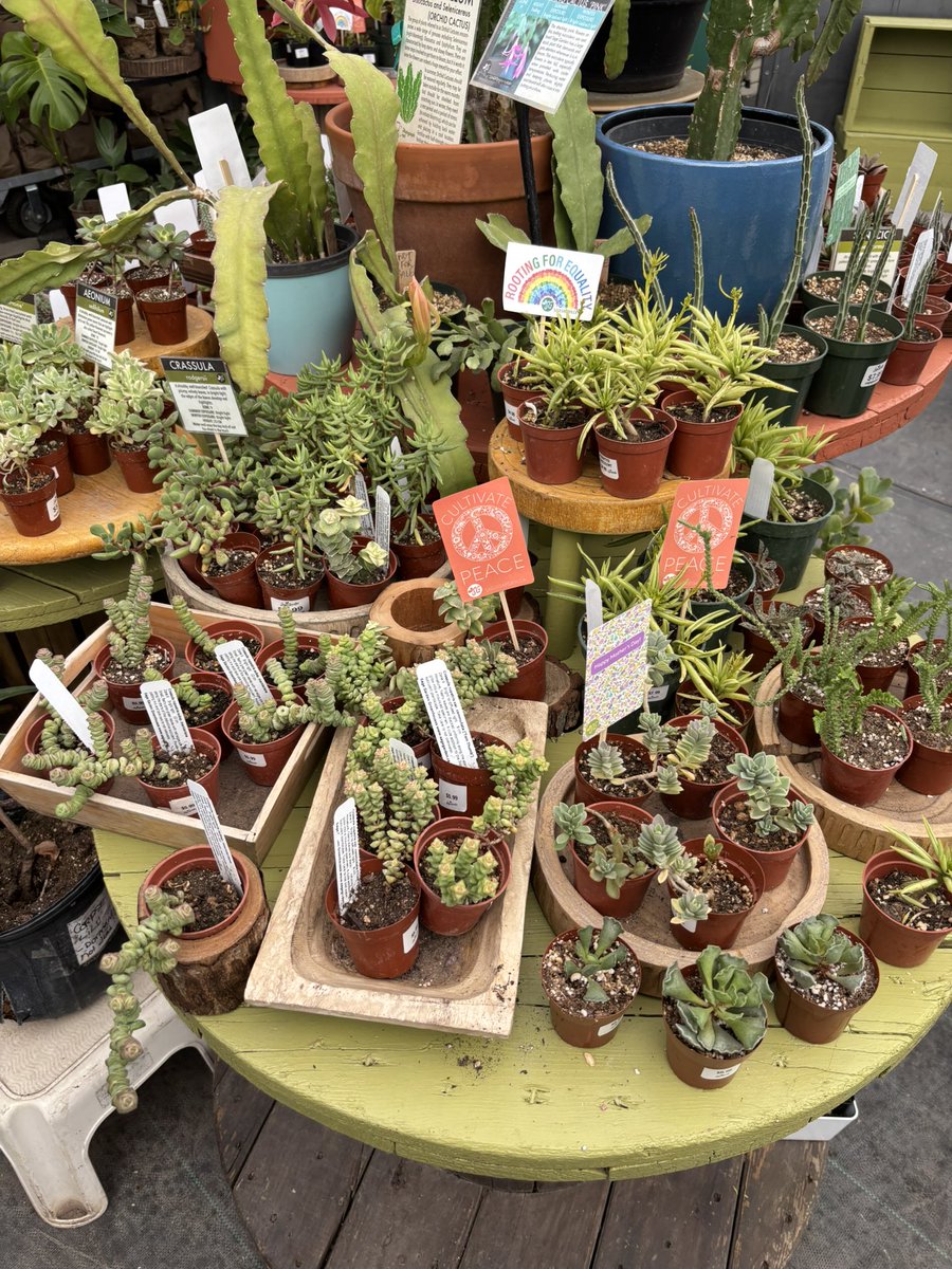 SourWoodChip's tweet photo. First green house visit of the year https://t.co/6q3x6ahpWX